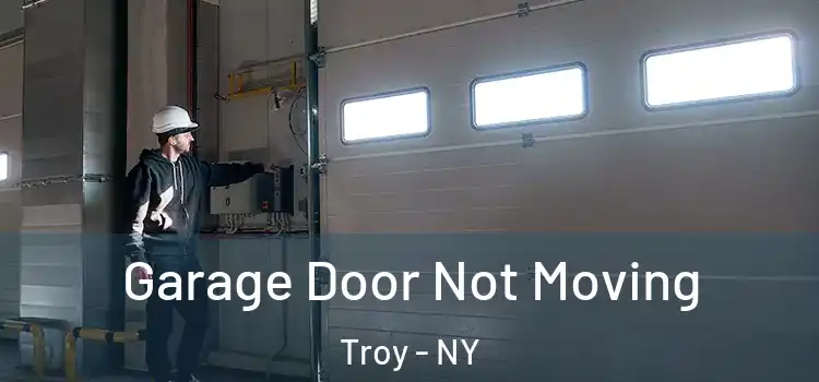  Garage Door Not Moving Troy - NY