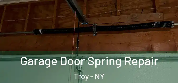  Garage Door Spring Repair Troy - NY