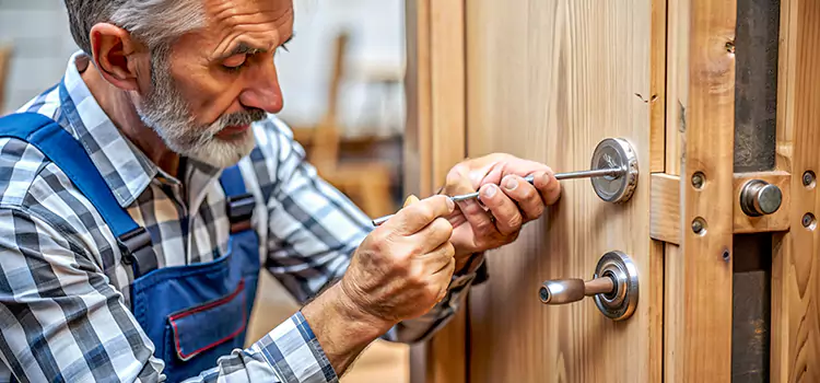 Mortise Replacement Lock Troy